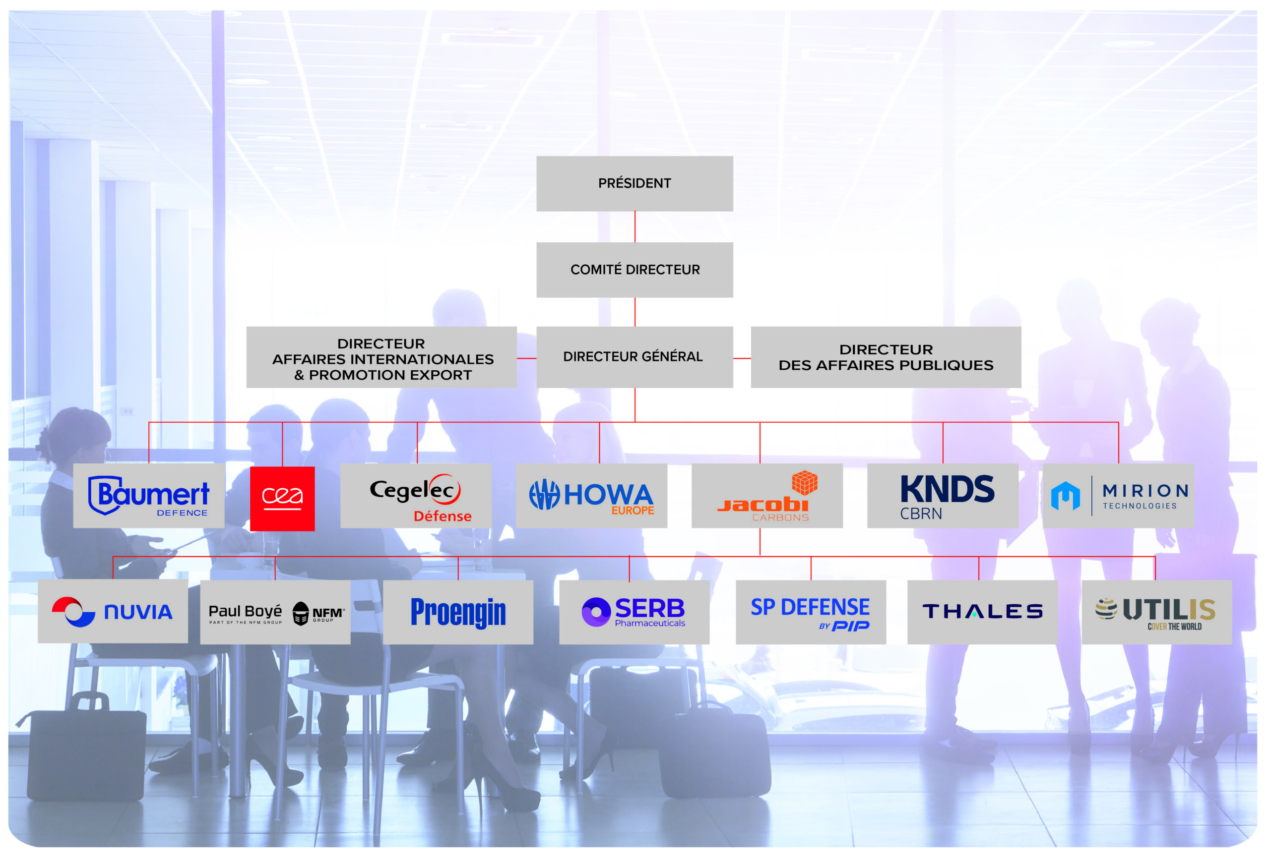 New P. Organisation FR
